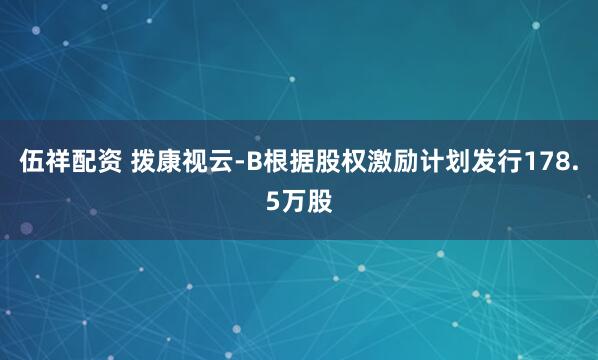伍祥配资 拨康视云-B根据股权激励计划发行178.5万股