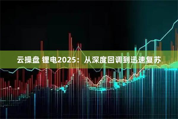 云操盘 锂电2025:从深度回调到迅速复苏