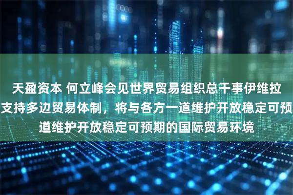天盈资本 何立峰会见世界贸易组织总干事伊维拉时指出：中方坚定支持多边贸易体制，将与各方一道维护开放稳定可预期的国际贸易环境